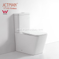 WaterMark Rimless Dual Flushing Toilet